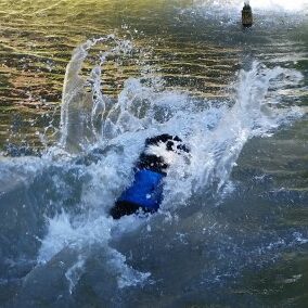 A person on a surfboard in the water.